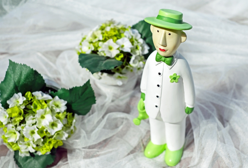 vitrine-TRAMOLE-min_man-person-flower-green-toy-fig-546529-pxhere.com